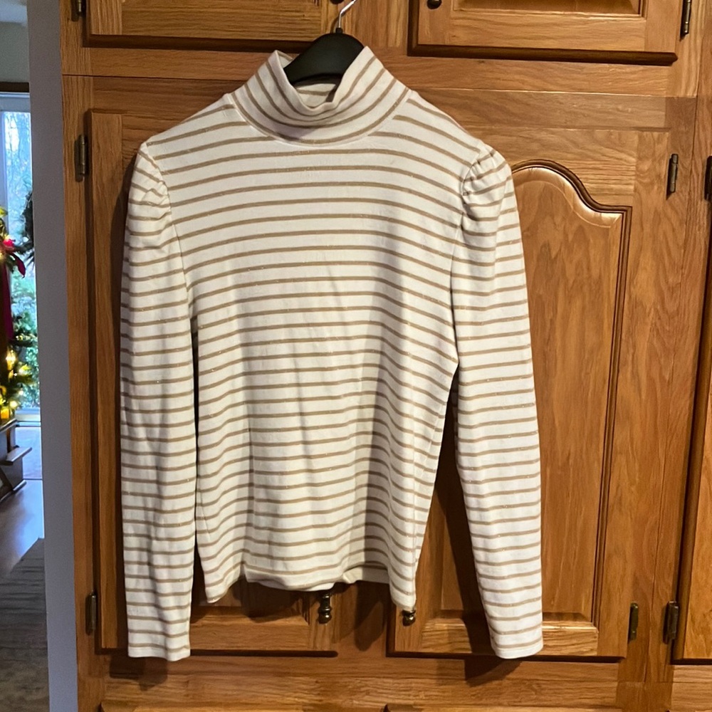 Worn twice.  Holiday jcrew turtleneck